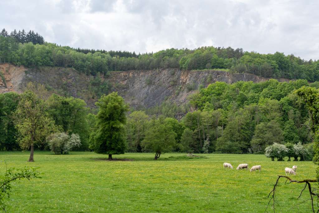 UNESCO Welt-Geopark Famenne-Ardenne