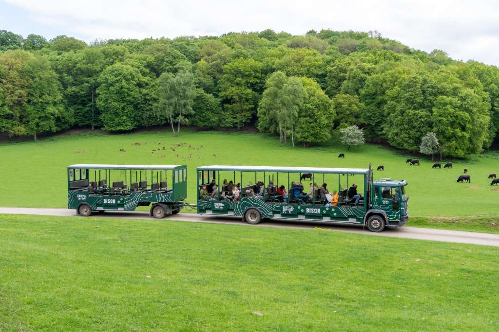 Wildtierpark der Grotten von Han Safari-Bus