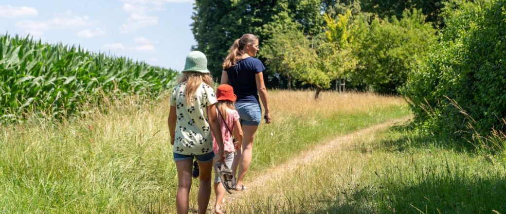 Ein Sommer-Wochenende in Schwaben mit Kindern: Tipps für das Dillinger Land