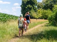Ein Sommer-Wochenende in Schwaben mit Kindern: Tipps für das Dillinger Land