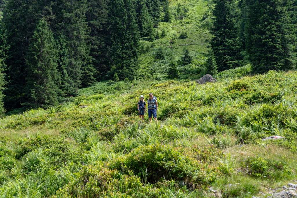 Tourenbericht Wanderung Neue Bamberger Hütte