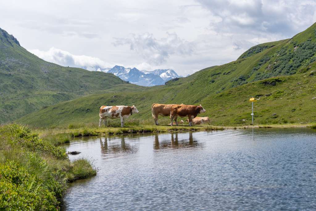 Unterer Wildalmsee