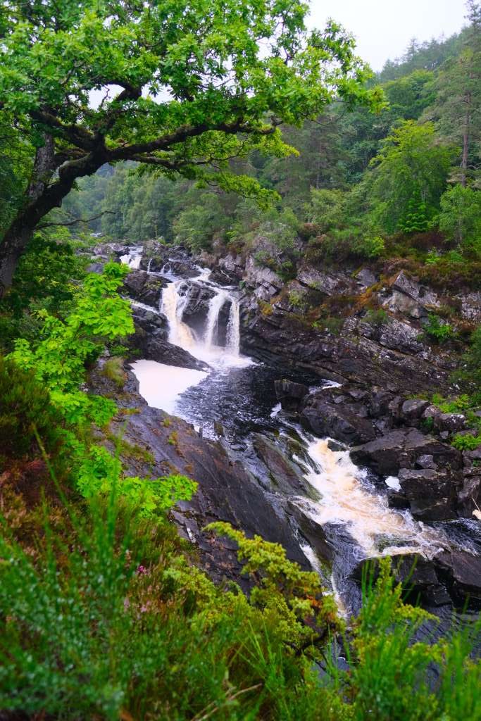 Rogie Falls (2)