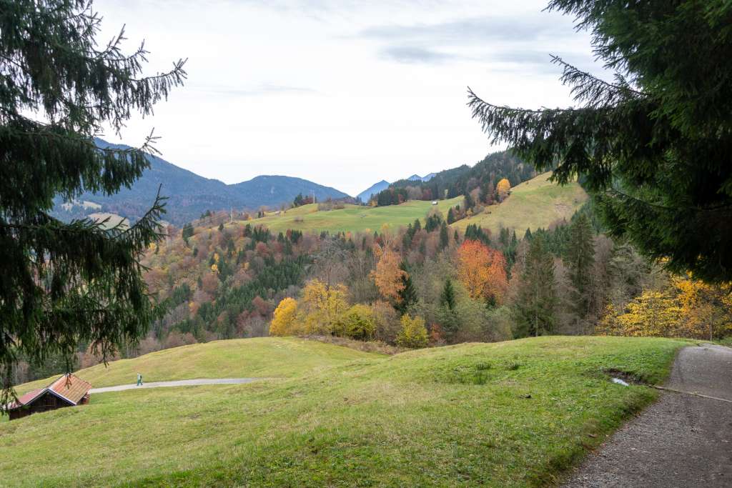 Abstieg vom Berggashof Eckbauer