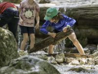 Sommer im Naturpark Ammergauer Alpen: Ferienprogramm Junior Ranger auf Entdeckungstour