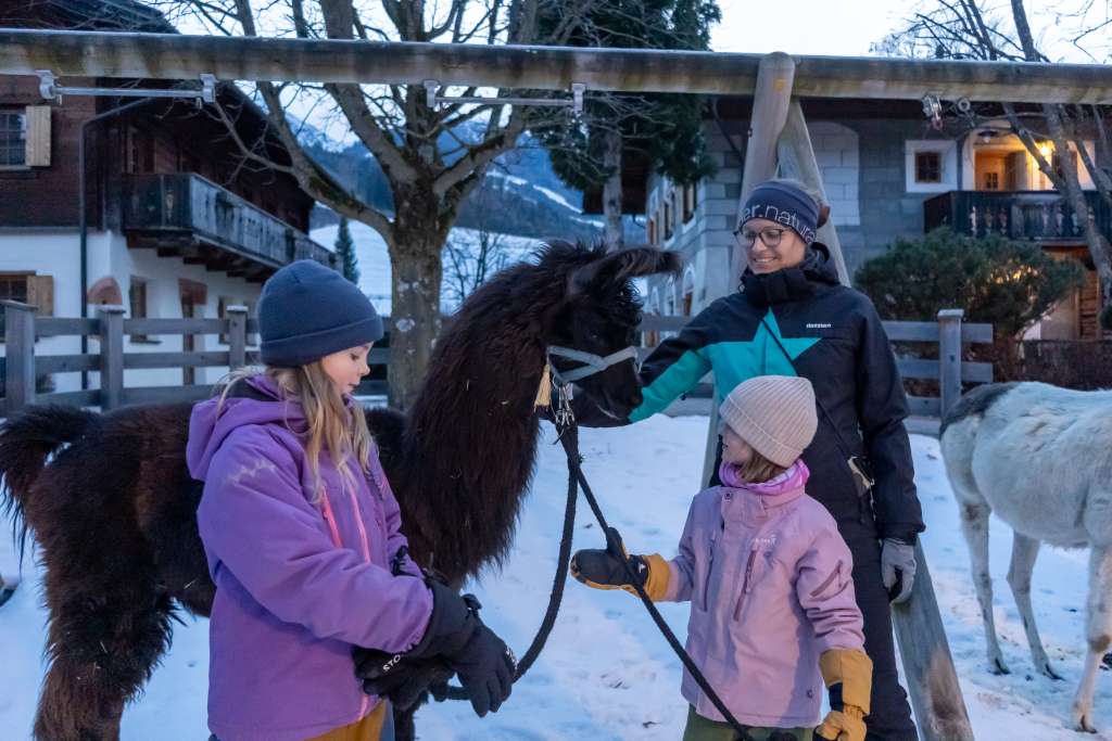 Lamas im Feriendorf Hochpustertal