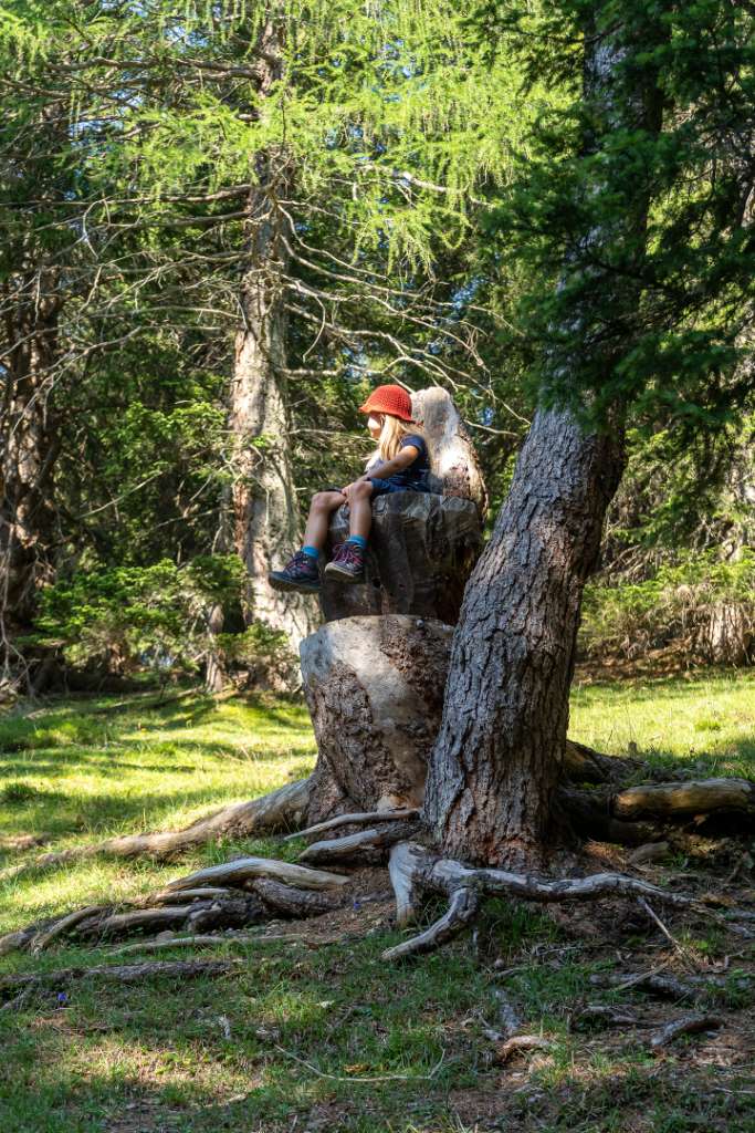 Solsteinhaus nach Hochzirl