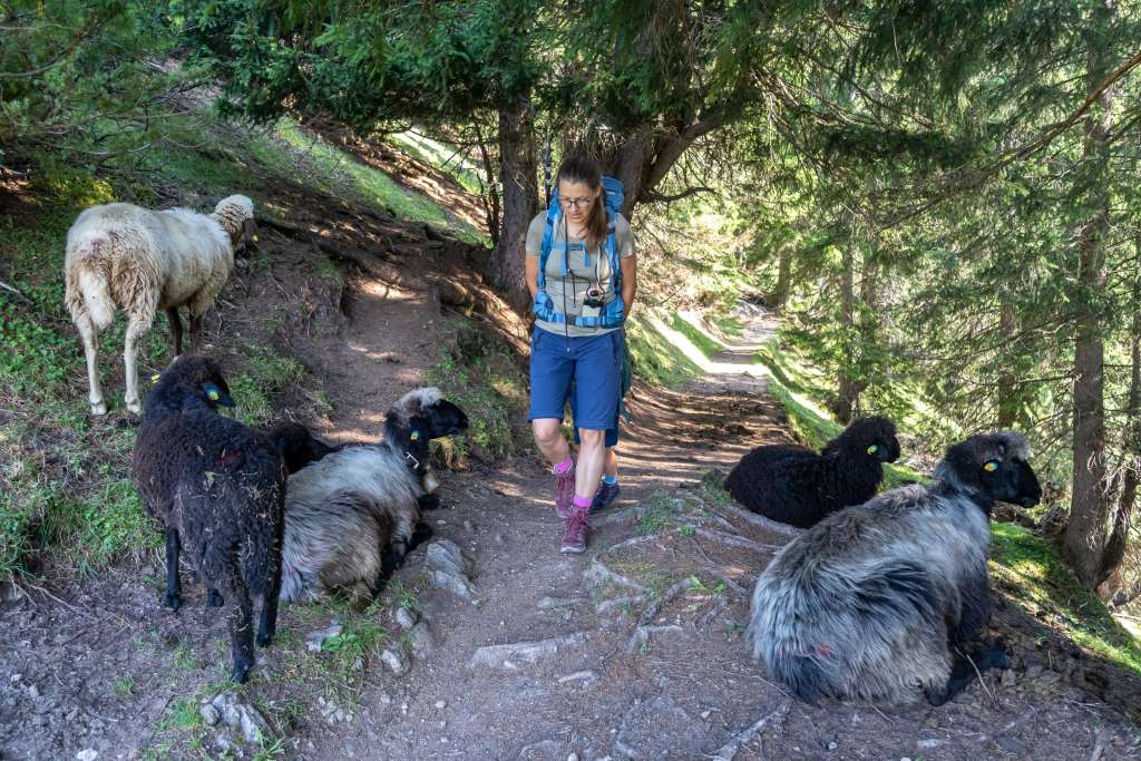 Vom Solsteinhaus nach Hochzirl