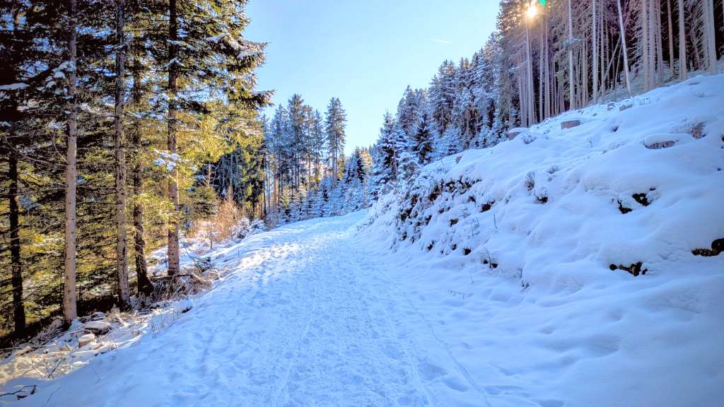 Winterwandern am Glungezer