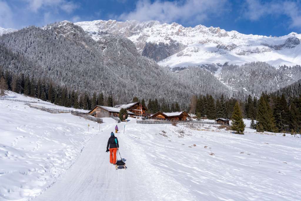 Seefeld mit Kindern Hämmermoosalm Rodelabfahrt