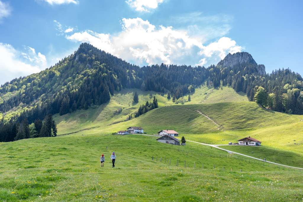 Daffnerwald Almen Wandern
