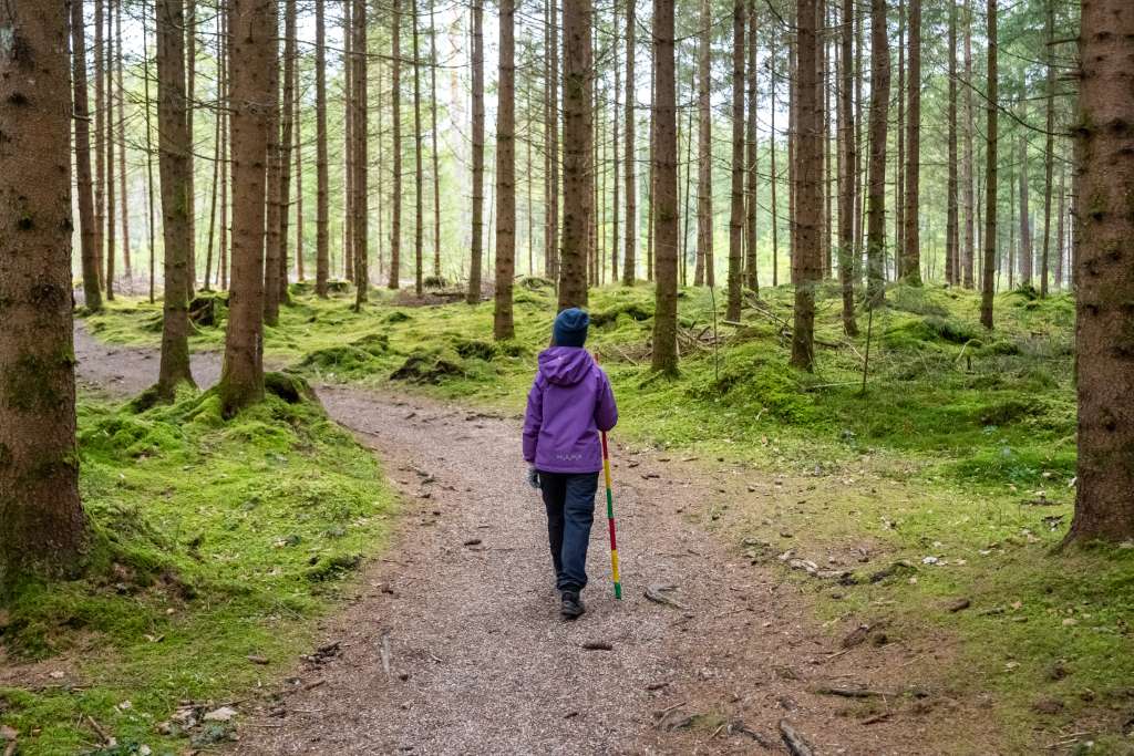 Wandern Filzenrundweg