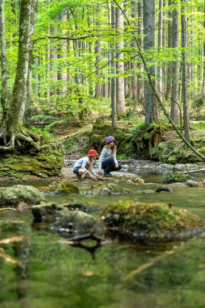 Wandern am Fluderbach mit Kindern
