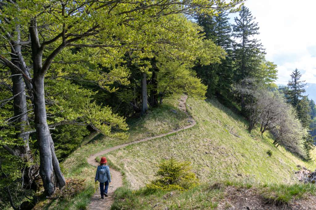 Wandern am Samerberg sechs Wandertipps