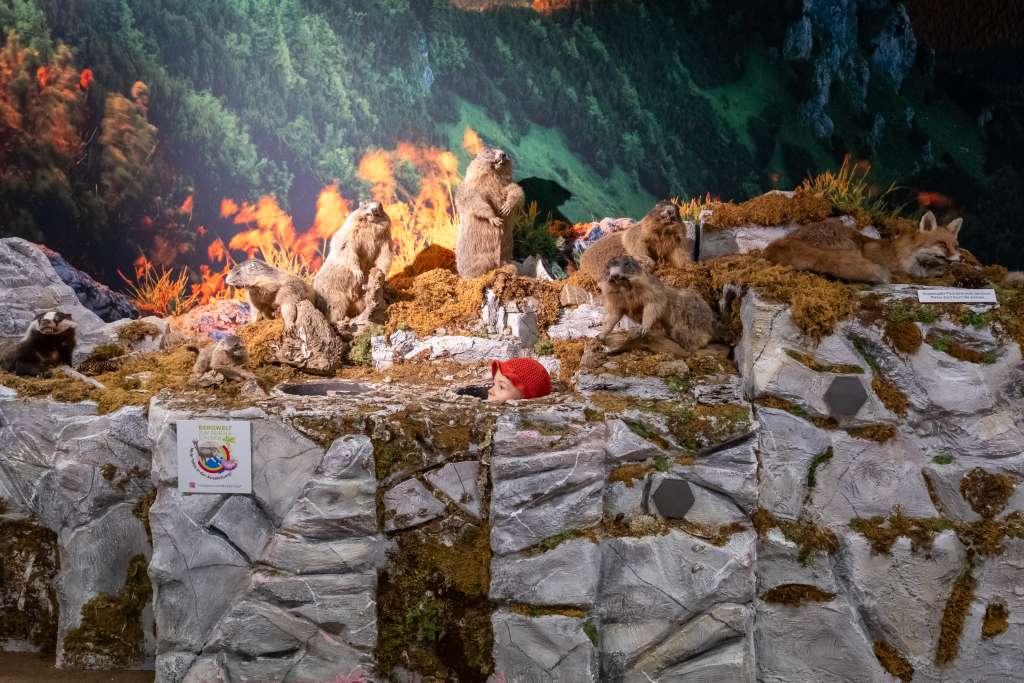 Ausstellung Bergwelt zum Sehen und Staunen