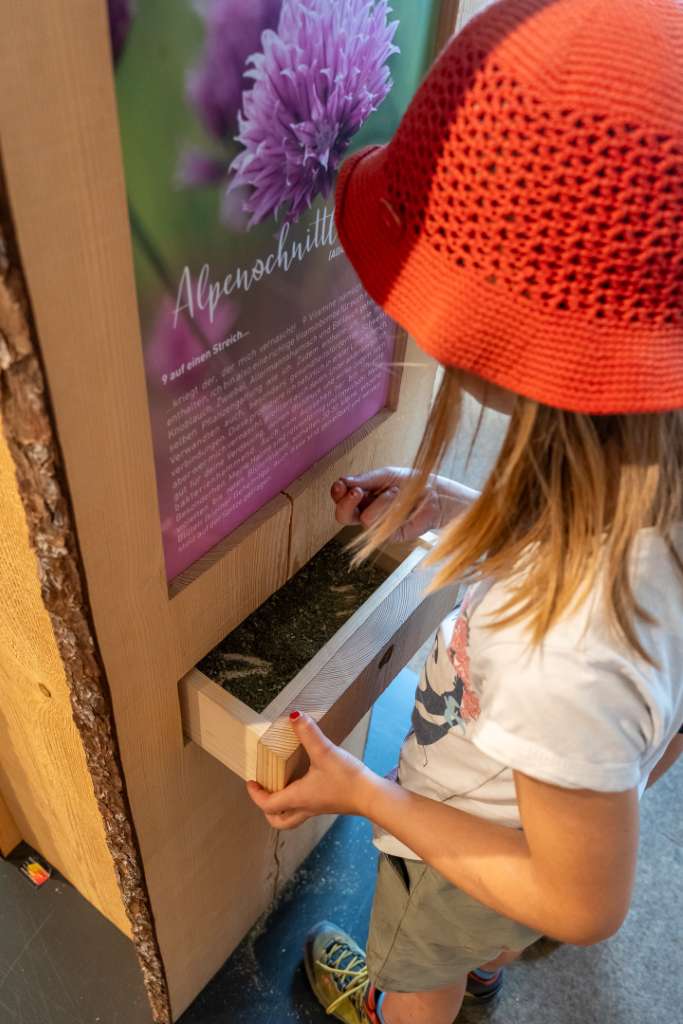 Bregenzerwald mit Kindern Ausstellung Bergwelt zum Sehen und Staunen