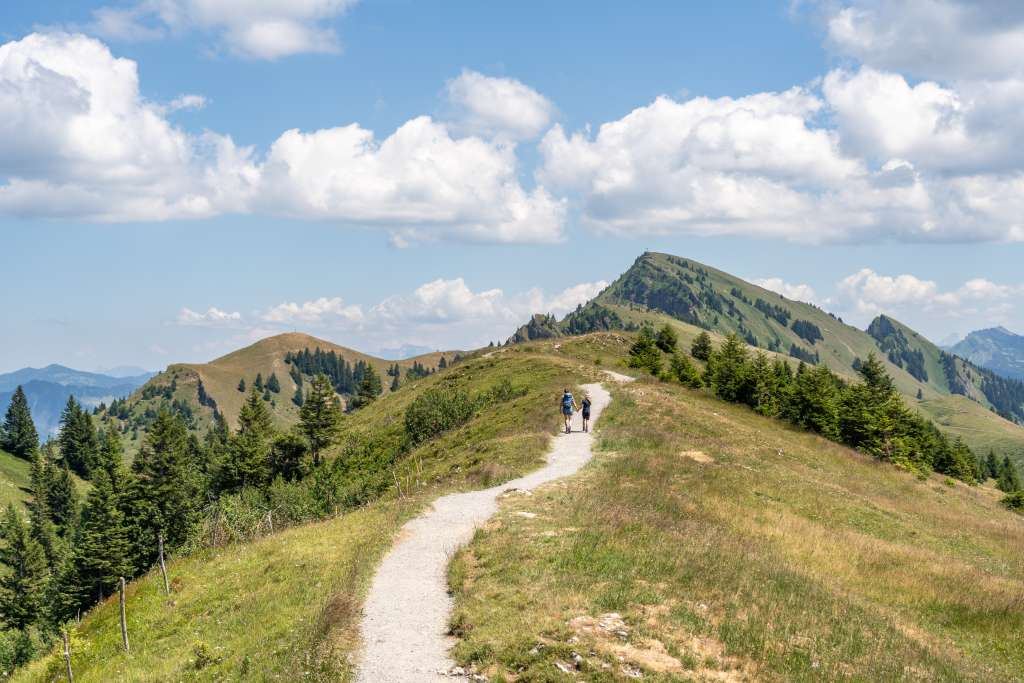 Familienfreundlicher Panoramarundweg Baumgarten im Bregenzerwald