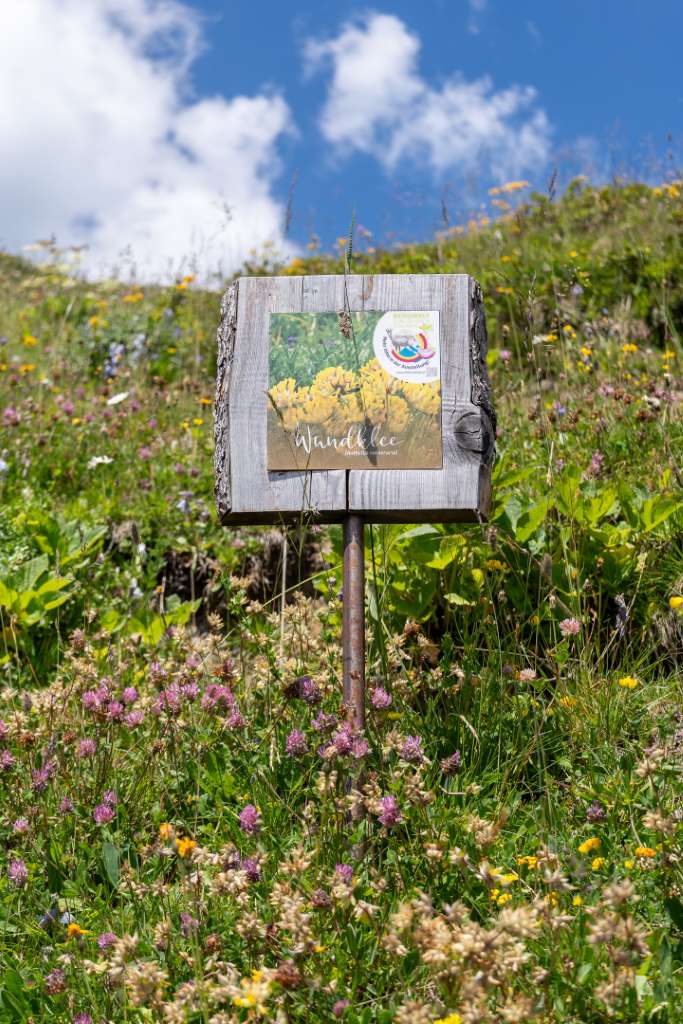 Schautafel Diedamskopf