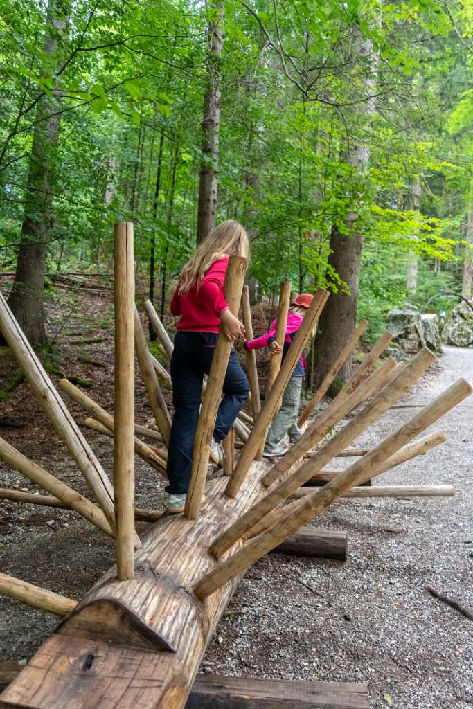 Bergwaldpfad Erlebisweg Füssen