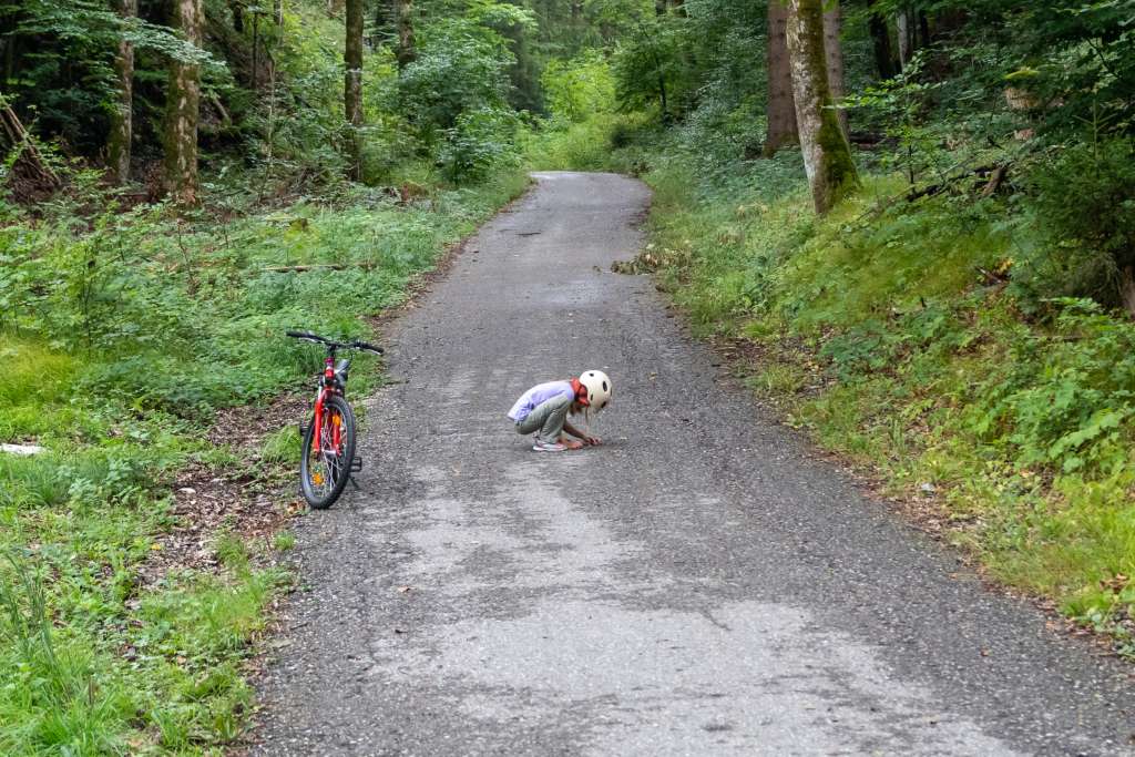 Krötenrettung auch dem Lechradweg