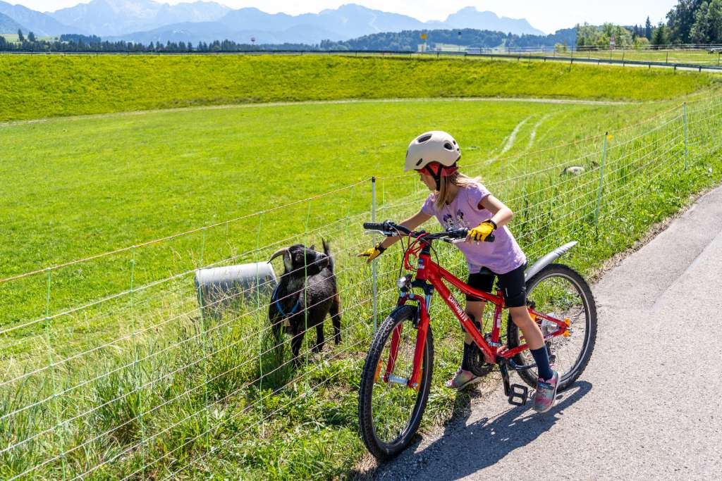 Lechradweg mit Kindern