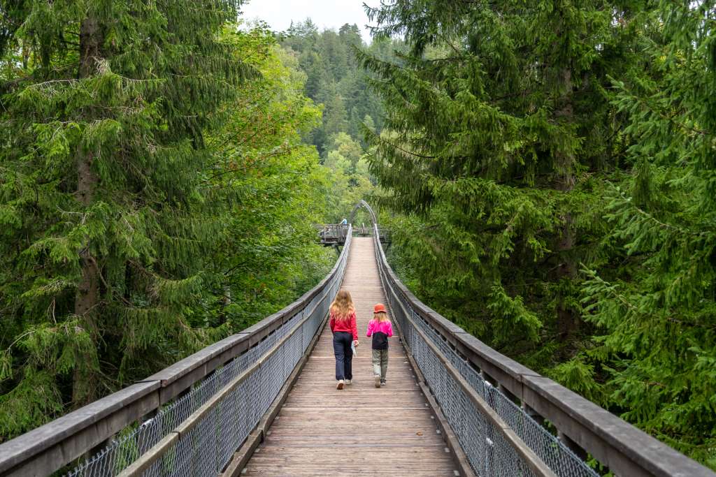 Walderlebniszentrum Füssen-Ziegelwies