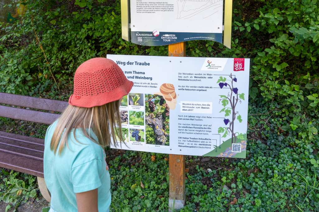 Ahrtal mit Kindern Lotta Wanderweg