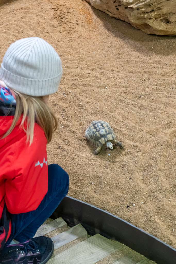 Familientipps für Nürnberg Der Tiergarten