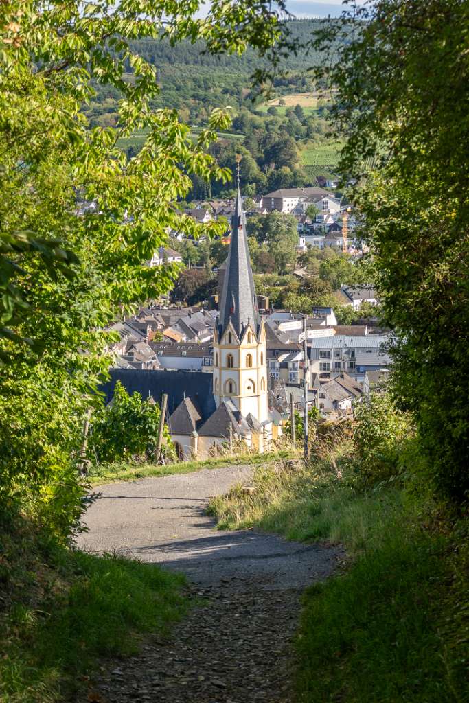 Lotta Wanderweg Blick Ahrweiler