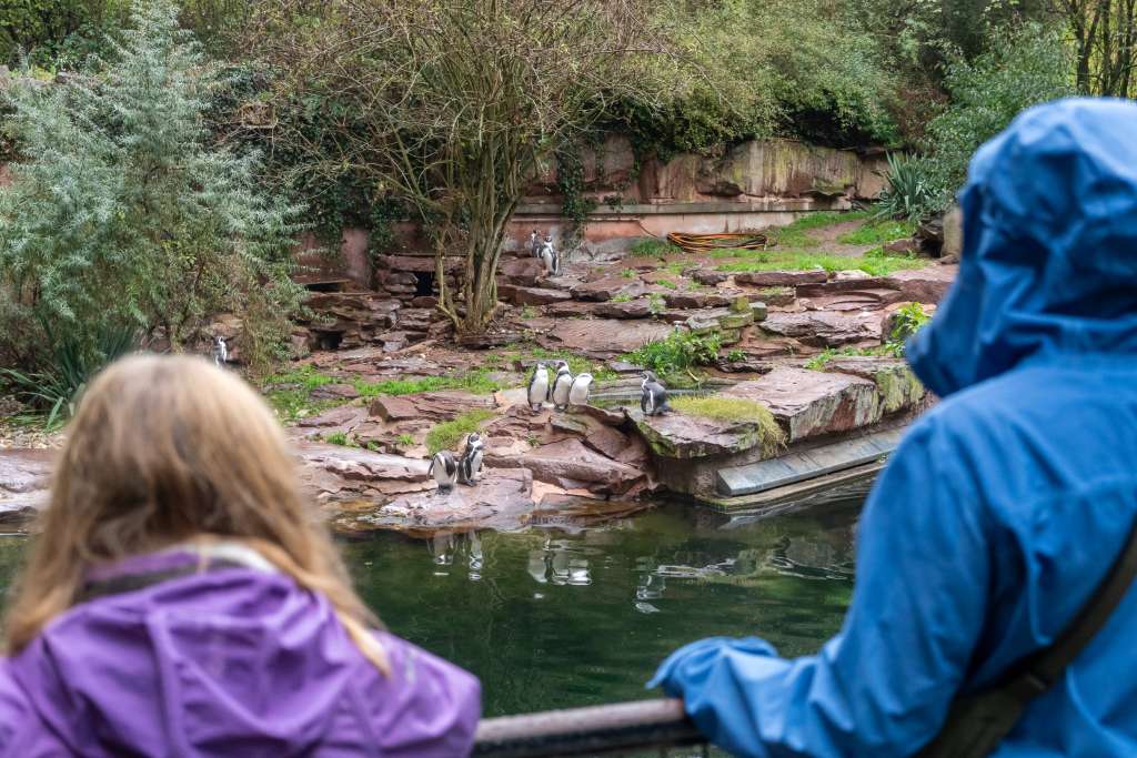 Nürnberg Tipps Tiergarten