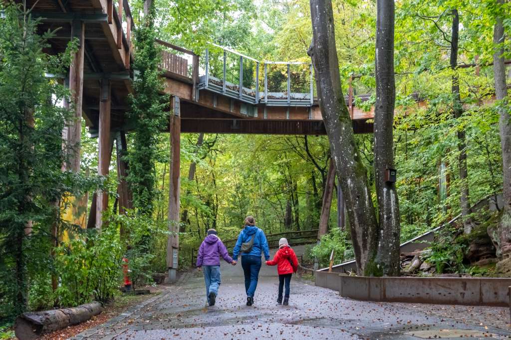 Tiergarten Nürnberg mit Kindern
