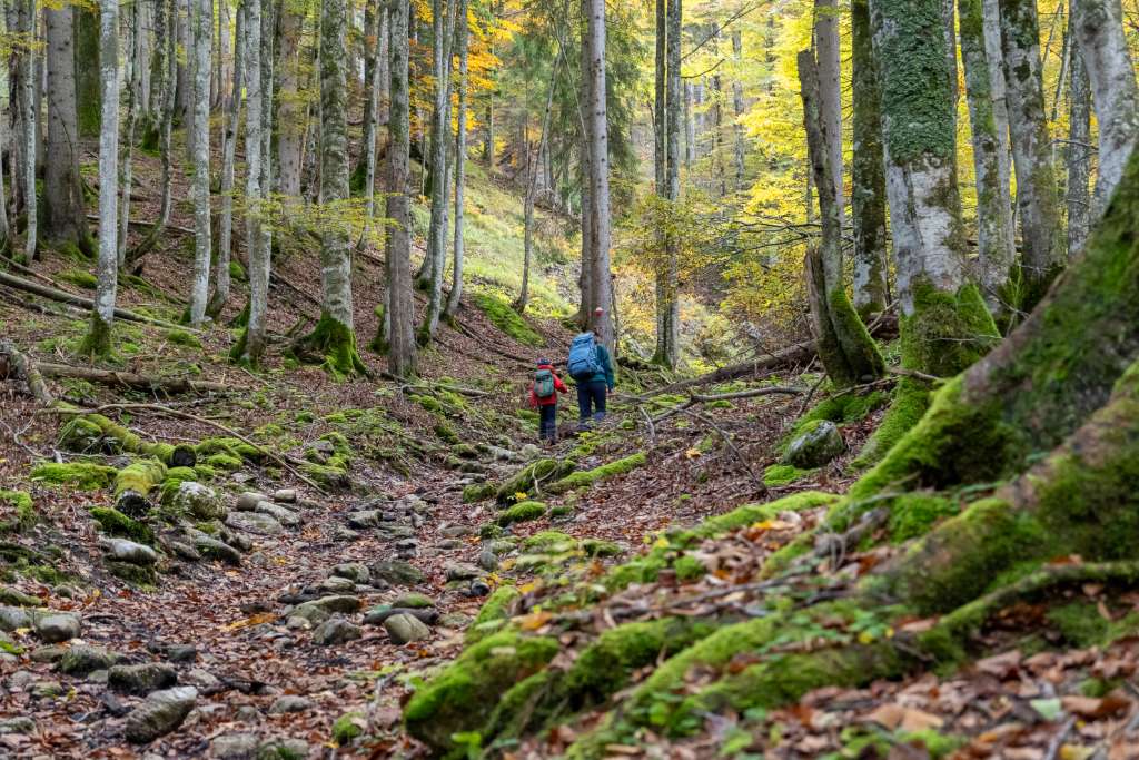 Tipp 5 Seid für Funklöcher und frühe Dunkelheit gewappnet